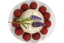 Abbildung: Lavendel Panna Cotta