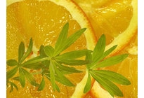 Abbildung: Waldmeisterbowle mit Bio-Schaumwein